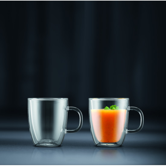 Набір склянок 300 мл Bistro Bodum, 2 шт (10604-10)