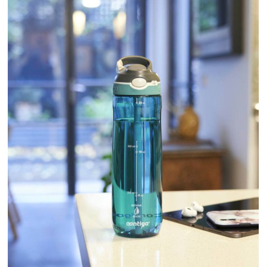 Пляшка для води Contigo Ashland 720 ml Grapevine (2191381)