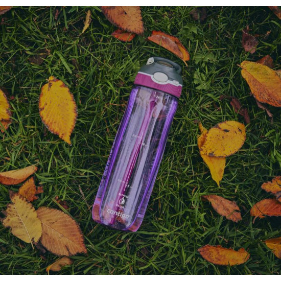 Пляшка для води Contigo Ashland 720 ml Grapevine (2191382)