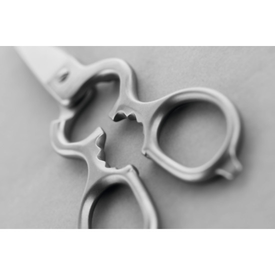 Ножиці кухонні Wuesthof Kitchen Shears 20 см (1059594901)